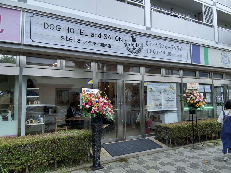 【潮見駅前プラザ一番街】「DOG HOTELandSALON stella」がオープンしました！の写真4