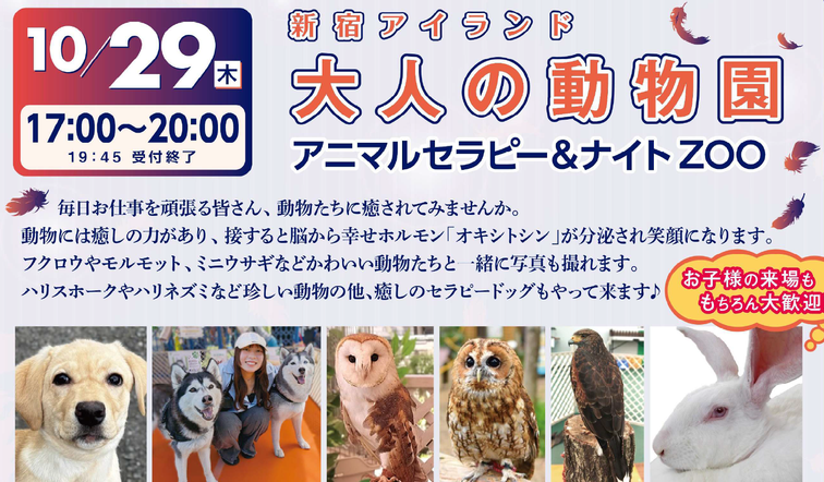 【新宿アイランド】10月29日(木)　大人の動物園　アニマルセラピー＆ナイトZOO 開催！のイメージ